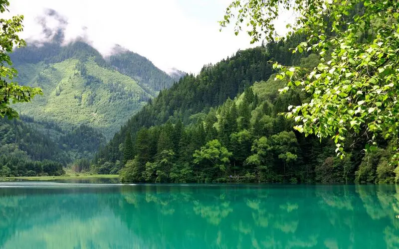 高性能智能高端
